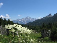 Dolomiten_005.jpg